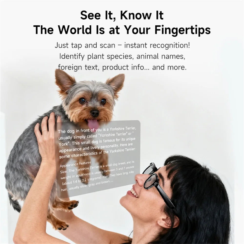 🔥 Lunettes Intelligentes AI - Traduction Temps Réel + Caméra 200W + Bluetooth 🎵