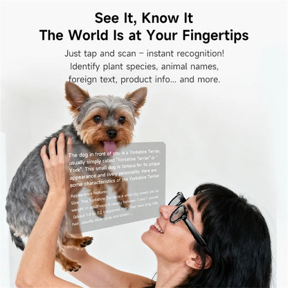 🔥 Lunettes Intelligentes AI - Traduction Temps Réel + Caméra 200W + Bluetooth 🎵